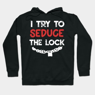 Funny Fantasy RPG D20 Gift Meme Rogue Class Lockpicking Joke Hoodie